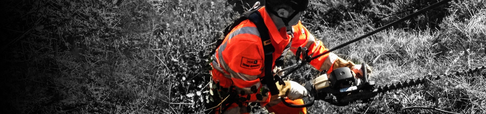 High Ropes Team Clear Cliff