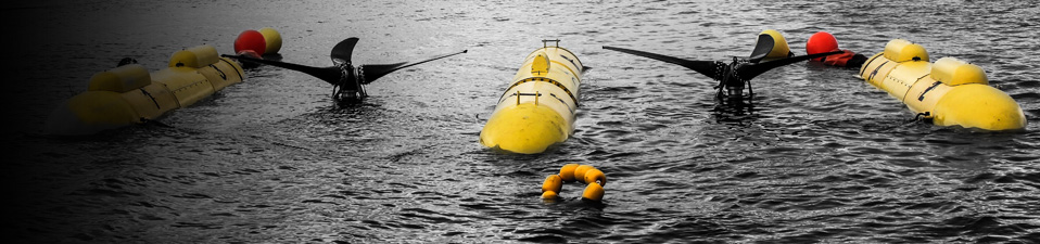 Sustainable Wave Energy Project
